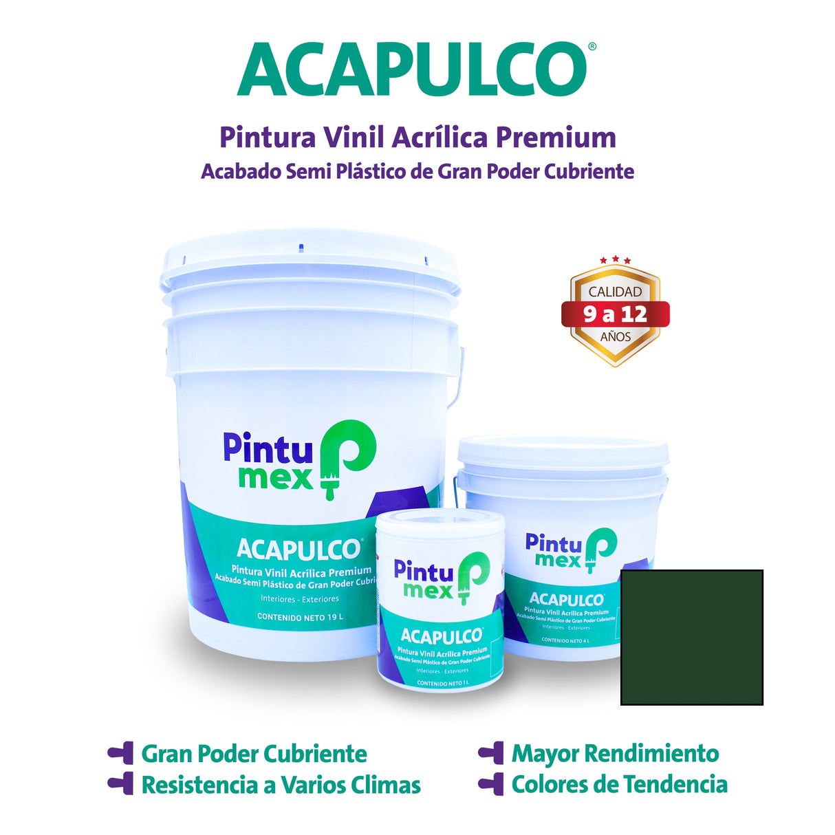 ACAPULCO VERDE PINO 19 L